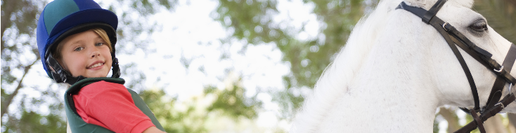 Equestrian Sponsorship Equestrian Sponsorship