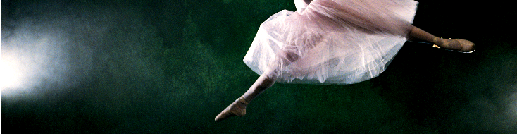 Performing Arts Sponsor Performing Arts Sponsor