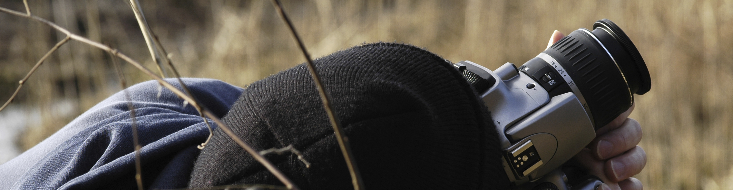 Photography Sponsorship Photography Sponsorship